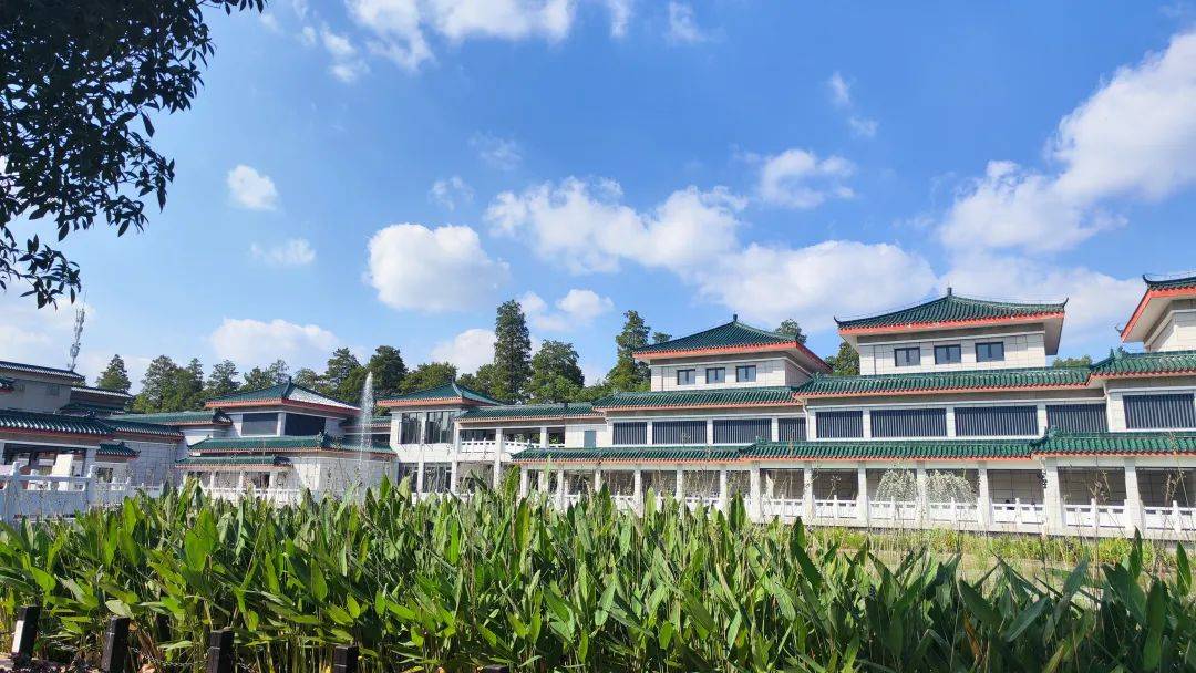 董宇辉游览荆州博物馆全程言谈诙谐幽默来看看他被什么吓到了→